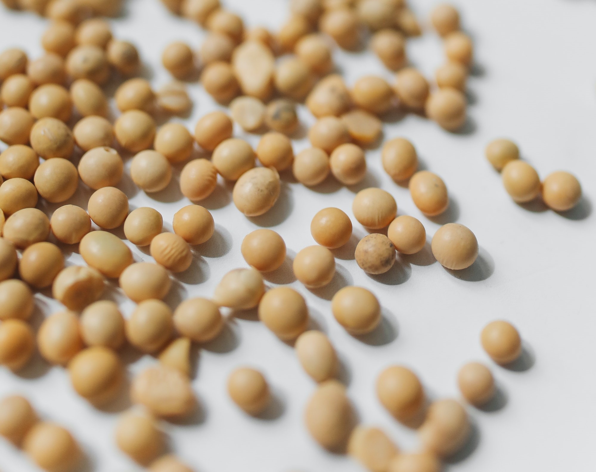 介護・衛生の課題をワンストップで解決します。